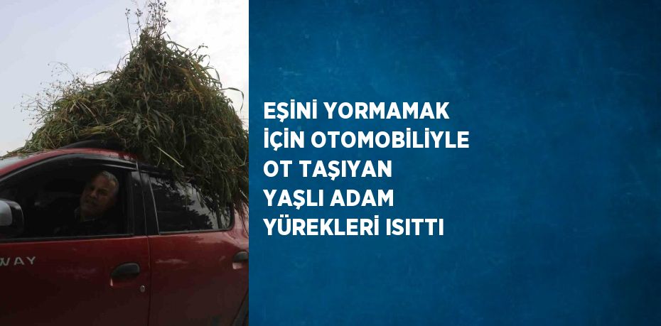 EŞİNİ YORMAMAK İÇİN OTOMOBİLİYLE OT TAŞIYAN YAŞLI ADAM YÜREKLERİ ISITTI