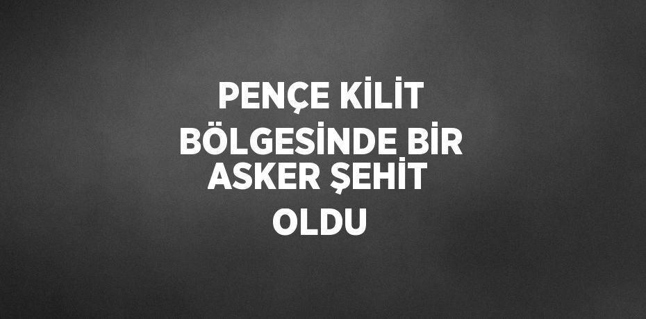 PENÇE KİLİT BÖLGESİNDE BİR ASKER ŞEHİT OLDU