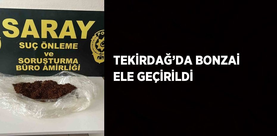 TEKİRDAĞ’DA BONZAİ ELE GEÇİRİLDİ