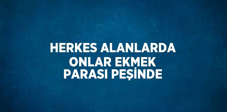 HERKES ALANLARDA ONLAR EKMEK PARASI PEŞİNDE