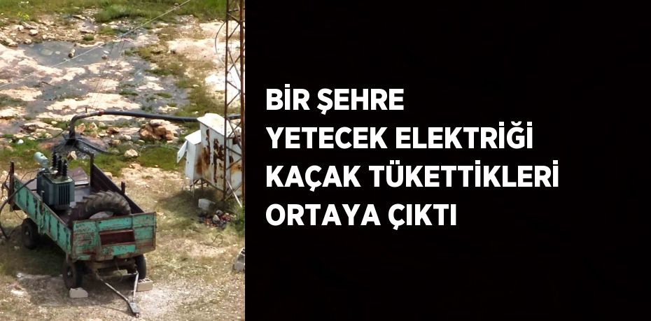 BİR ŞEHRE YETECEK ELEKTRİĞİ KAÇAK TÜKETTİKLERİ ORTAYA ÇIKTI