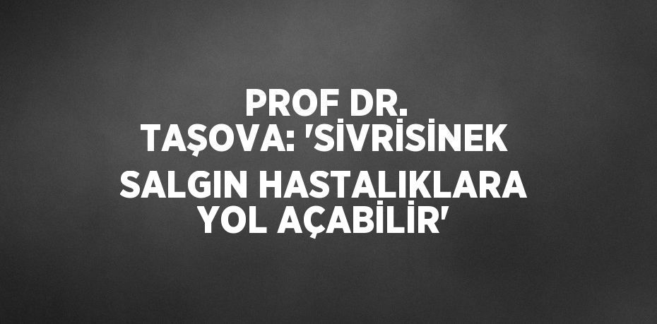 PROF DR. TAŞOVA: 'SİVRİSİNEK SALGIN HASTALIKLARA YOL AÇABİLİR'