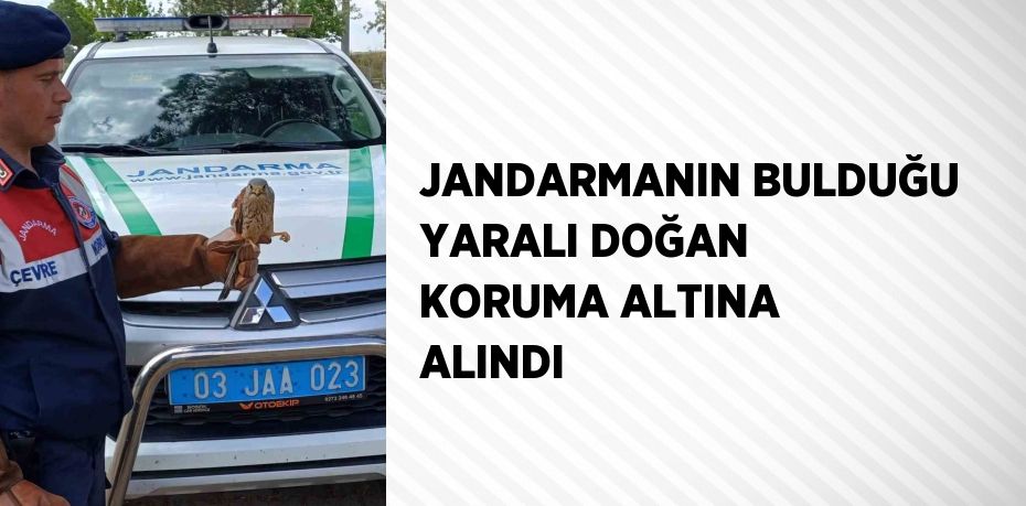 JANDARMANIN BULDUĞU YARALI DOĞAN KORUMA ALTINA ALINDI