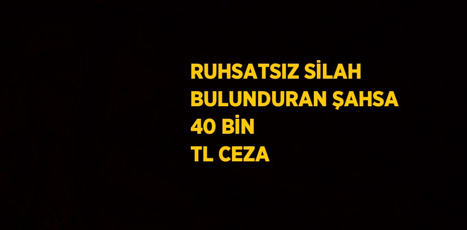 RUHSATSIZ SİLAH BULUNDURAN ŞAHSA 40 BİN TL CEZA