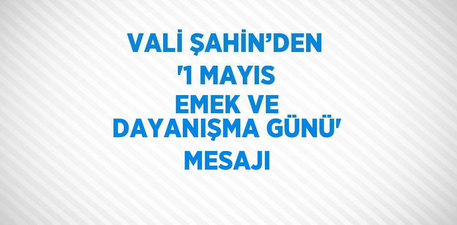 VALİ ŞAHİN’DEN '1 MAYIS EMEK VE DAYANIŞMA GÜNÜ' MESAJI