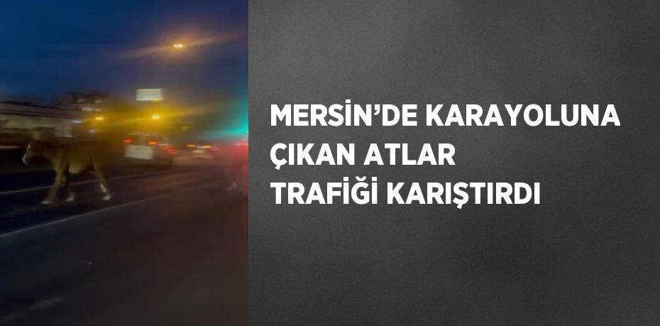 MERSİN’DE KARAYOLUNA ÇIKAN ATLAR TRAFİĞİ KARIŞTIRDI