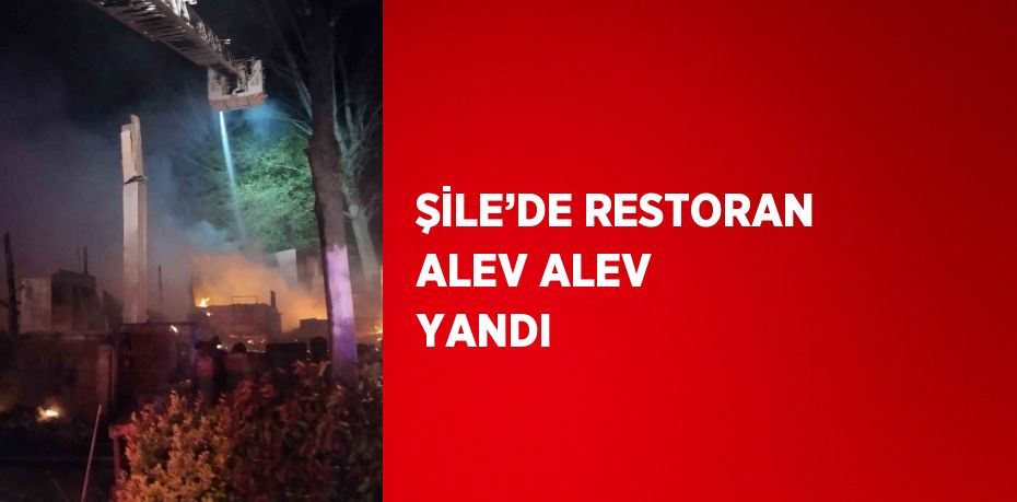 ŞİLE’DE RESTORAN ALEV ALEV YANDI