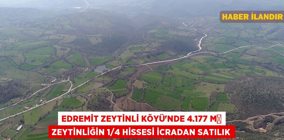 Edremit Zeytinli Köyü'nde 4.177 m² zeytinliğin 1/4 hissesi icradan satılık