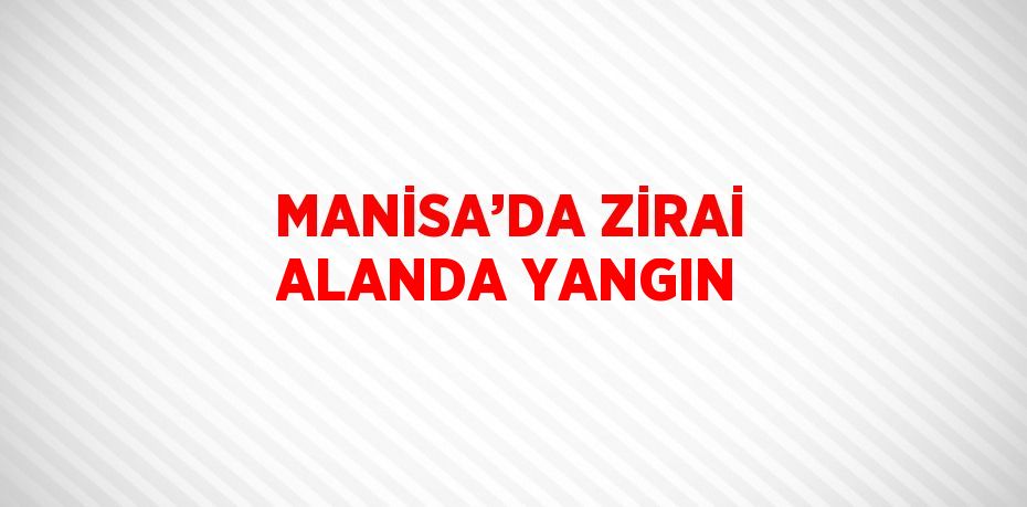 MANİSA’DA ZİRAİ ALANDA YANGIN