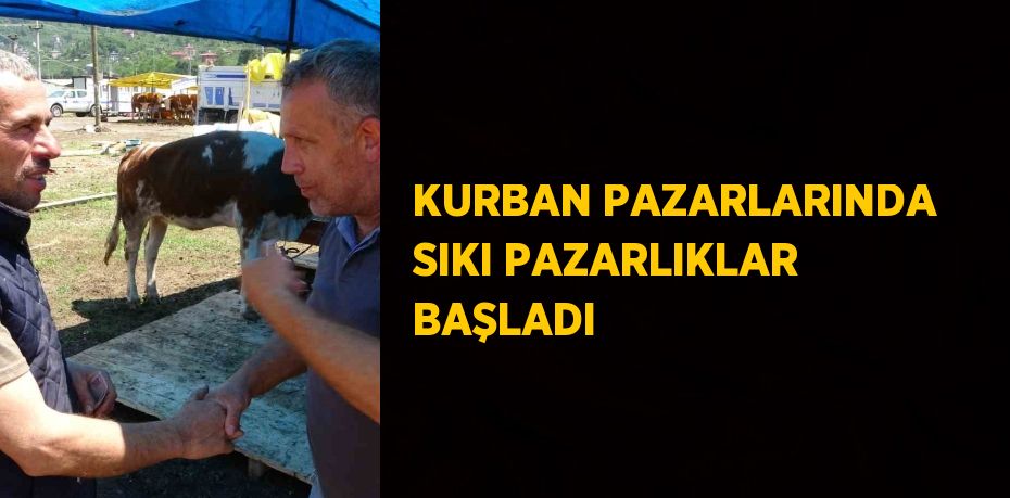 KURBAN PAZARLARINDA SIKI PAZARLIKLAR BAŞLADI