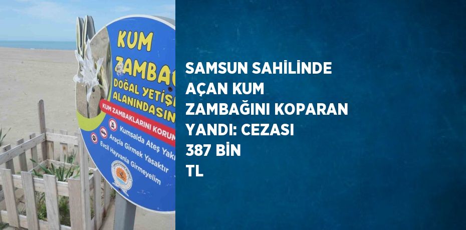 SAMSUN SAHİLİNDE AÇAN KUM ZAMBAĞINI KOPARAN YANDI: CEZASI 387 BİN TL