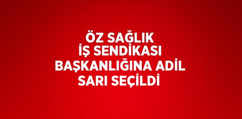 ÖZ SAĞLIK İŞ SENDİKASI BAŞKANLIĞINA ADİL SARI SEÇİLDİ