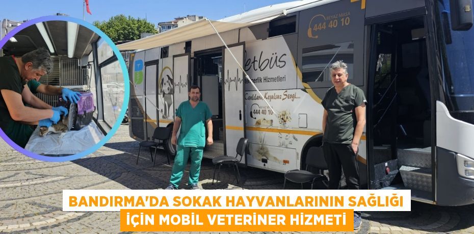 BANDIRMA'DA SOKAK HAYVANLARININ SAĞLIĞI İÇİN MOBİL VETERİNER HİZMETİ