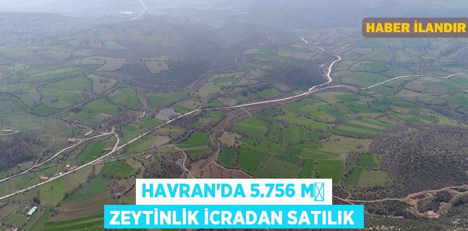 Havran'da 5.756 m² zeytinlik icradan satılık