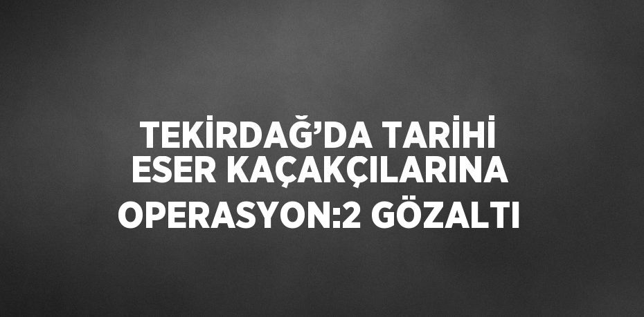 TEKİRDAĞ’DA TARİHİ ESER KAÇAKÇILARINA OPERASYON:2 GÖZALTI