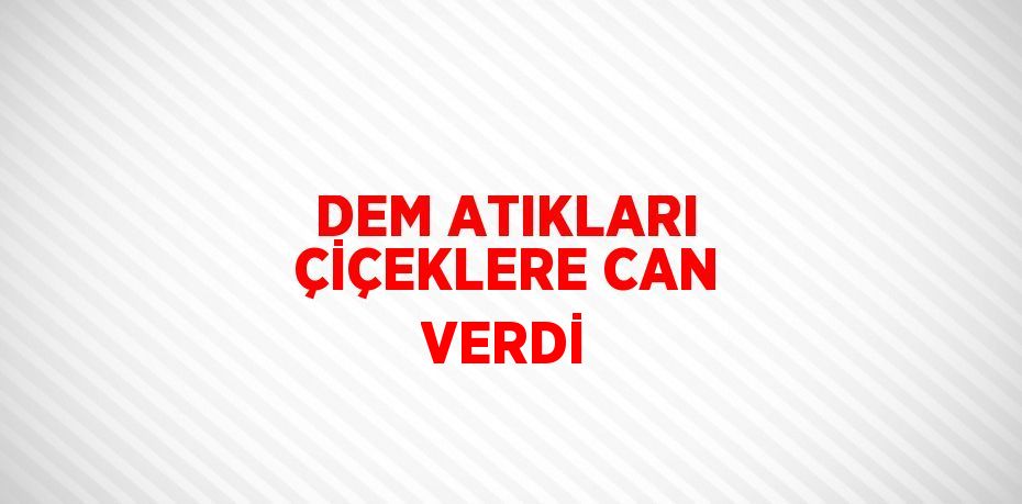 DEM ATIKLARI ÇİÇEKLERE CAN VERDİ