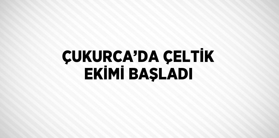 ÇUKURCA’DA ÇELTİK EKİMİ BAŞLADI