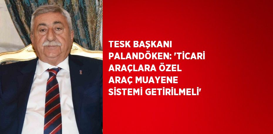 TESK BAŞKANI PALANDÖKEN: 'TİCARİ ARAÇLARA ÖZEL ARAÇ MUAYENE SİSTEMİ GETİRİLMELİ'