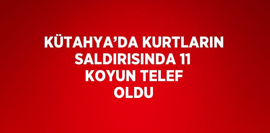 KÜTAHYA’DA KURTLARIN SALDIRISINDA 11 KOYUN TELEF OLDU