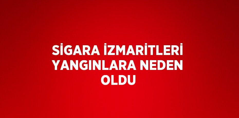 SİGARA İZMARİTLERİ YANGINLARA NEDEN OLDU