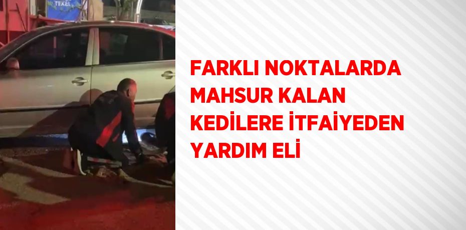 FARKLI NOKTALARDA MAHSUR KALAN KEDİLERE İTFAİYEDEN YARDIM ELİ