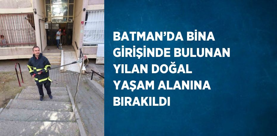 BATMAN’DA BİNA GİRİŞİNDE BULUNAN YILAN DOĞAL YAŞAM ALANINA BIRAKILDI
