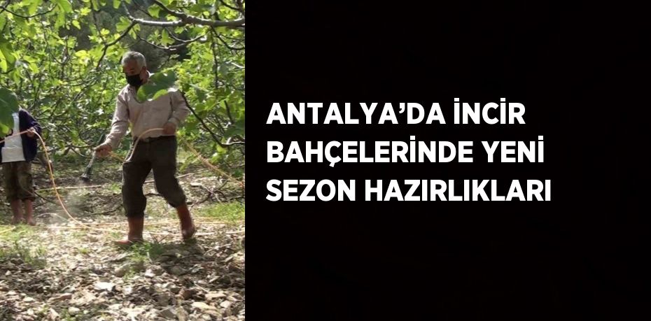 ANTALYA’DA İNCİR BAHÇELERİNDE YENİ SEZON HAZIRLIKLARI