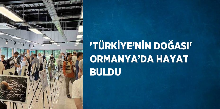 'TÜRKİYE’NİN DOĞASI' ORMANYA’DA HAYAT BULDU
