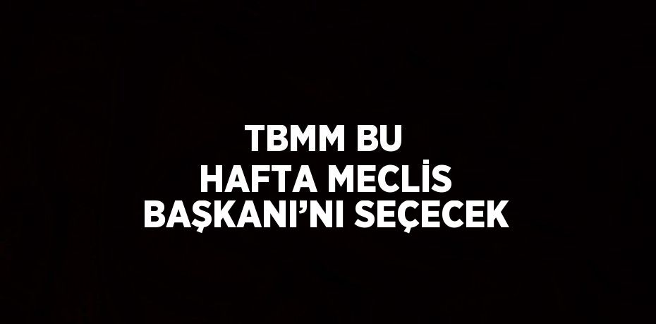TBMM BU HAFTA MECLİS BAŞKANI’NI SEÇECEK