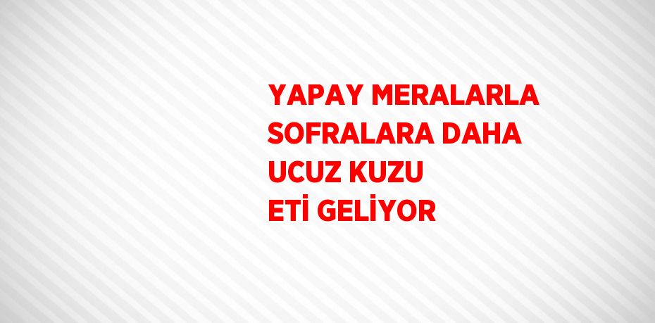 YAPAY MERALARLA SOFRALARA DAHA UCUZ KUZU ETİ GELİYOR