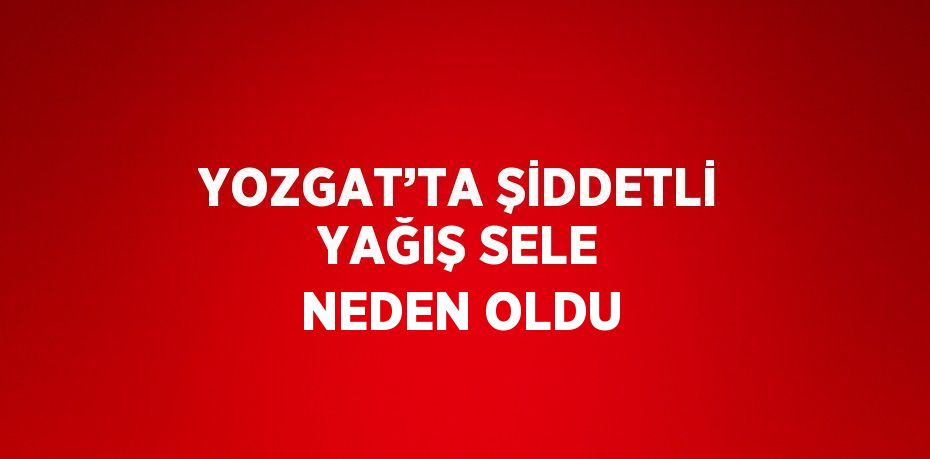 YOZGAT’TA ŞİDDETLİ YAĞIŞ SELE NEDEN OLDU