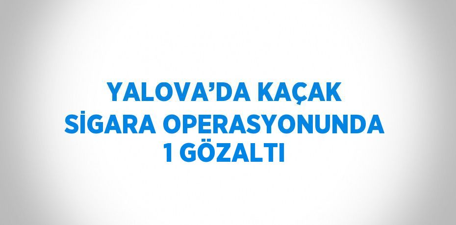 YALOVA’DA KAÇAK SİGARA OPERASYONUNDA 1 GÖZALTI