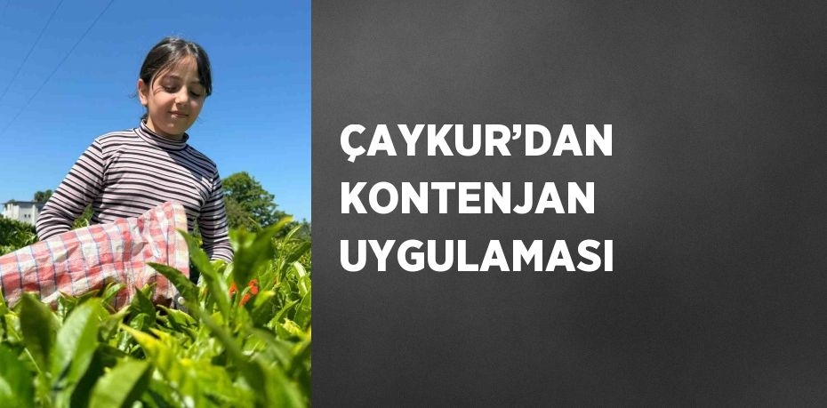 ÇAYKUR’DAN KONTENJAN UYGULAMASI