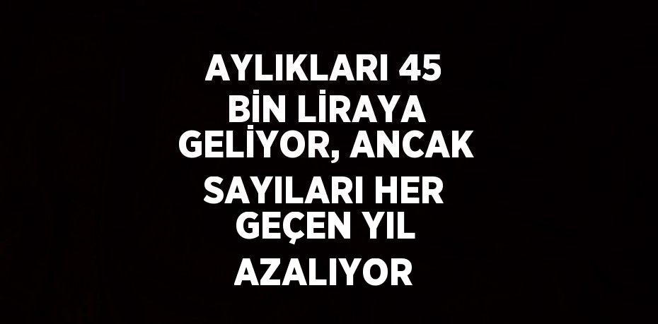 AYLIKLARI 45 BİN LİRAYA GELİYOR, ANCAK SAYILARI HER GEÇEN YIL AZALIYOR