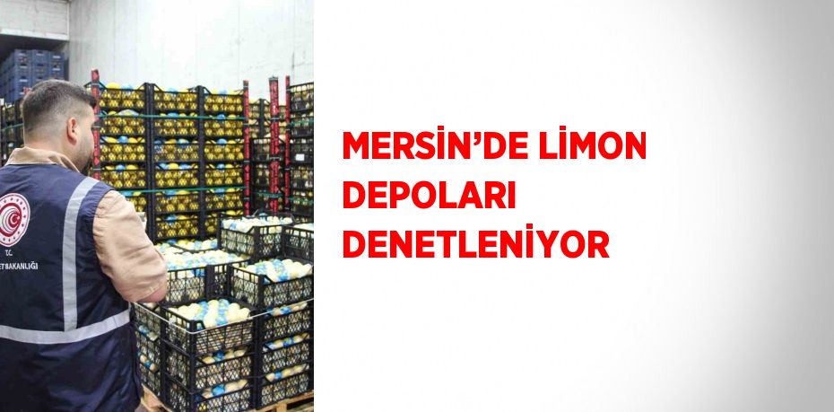 MERSİN’DE LİMON DEPOLARI DENETLENİYOR