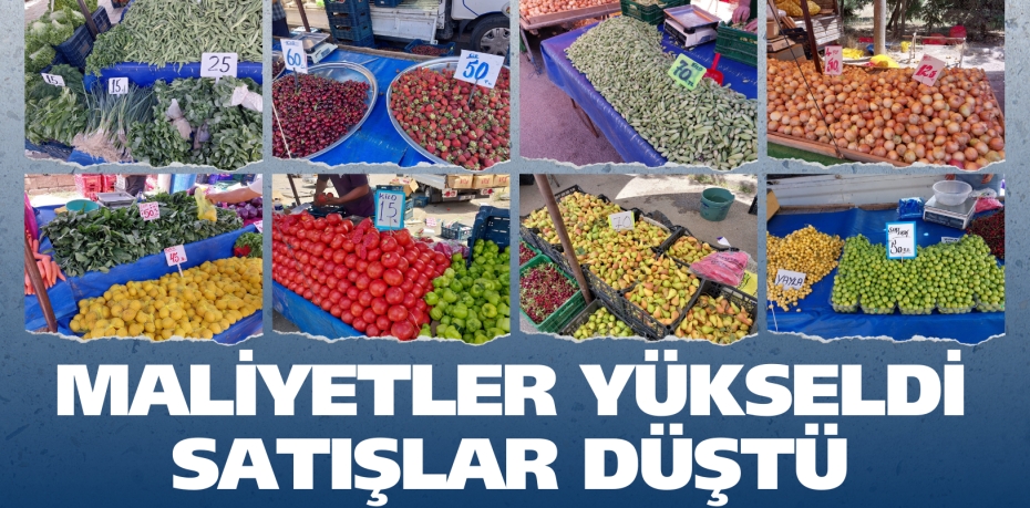 MALİYETLER YÜKSELDİ SATIŞLAR DÜŞTÜ