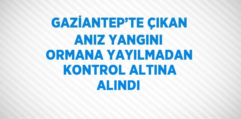 GAZİANTEP’TE ÇIKAN ANIZ YANGINI ORMANA YAYILMADAN KONTROL ALTINA ALINDI