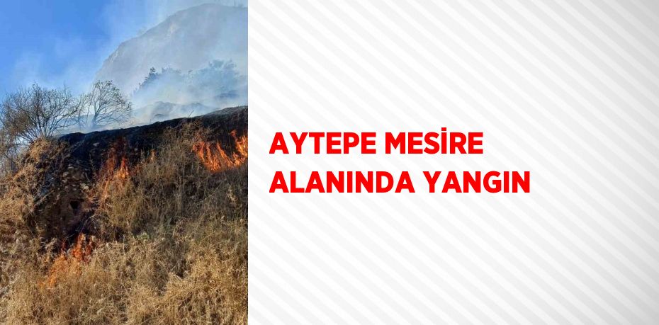 AYTEPE MESİRE ALANINDA YANGIN