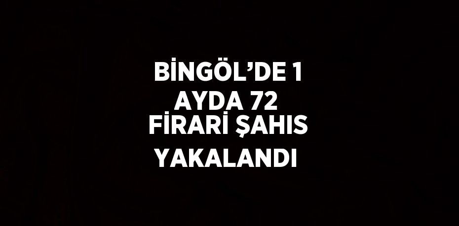 BİNGÖL’DE 1 AYDA 72 FİRARİ ŞAHIS YAKALANDI