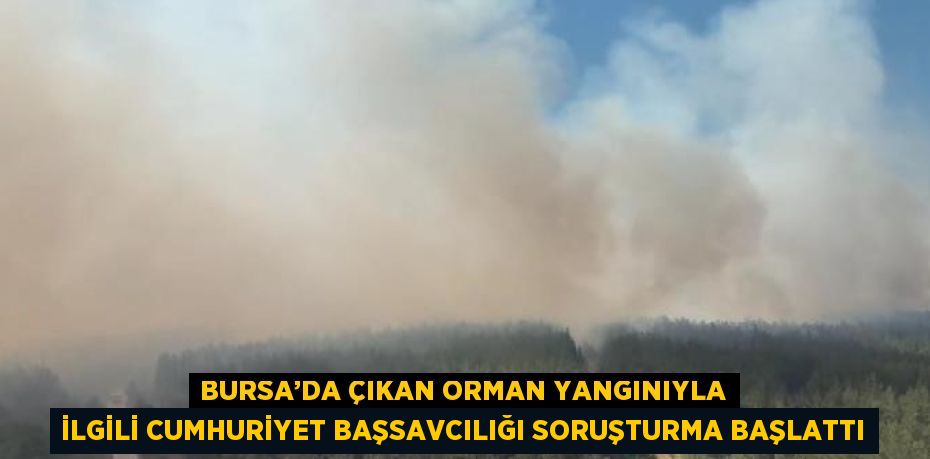 BURSA’DA ÇIKAN ORMAN YANGINIYLA İLGİLİ CUMHURİYET BAŞSAVCILIĞI SORUŞTURMA BAŞLATTI