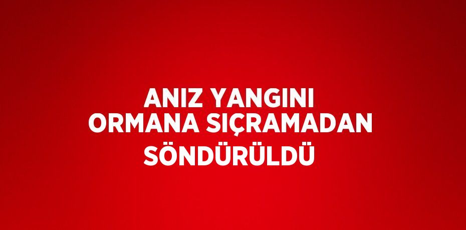 ANIZ YANGINI ORMANA SIÇRAMADAN SÖNDÜRÜLDÜ