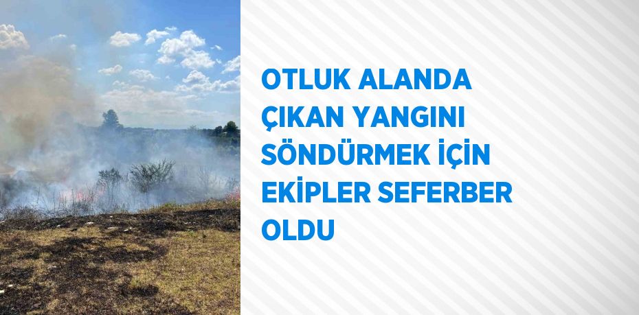 OTLUK ALANDA ÇIKAN YANGINI SÖNDÜRMEK İÇİN EKİPLER SEFERBER OLDU
