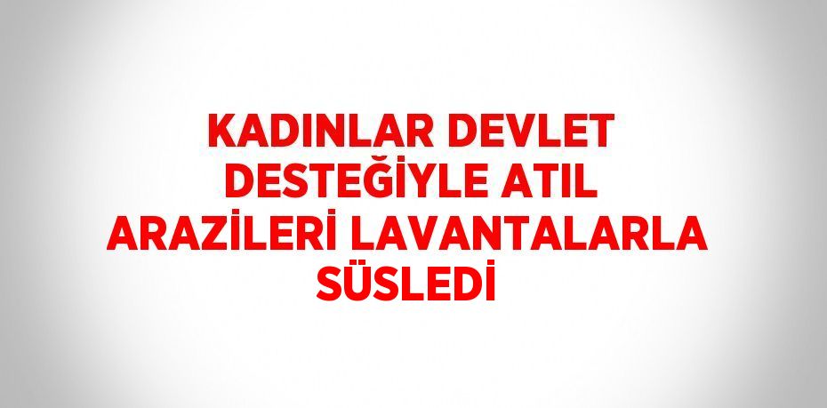 KADINLAR DEVLET DESTEĞİYLE ATIL ARAZİLERİ LAVANTALARLA SÜSLEDİ