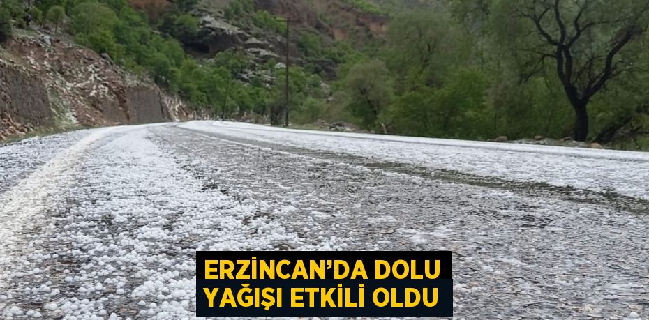 ERZİNCAN’DA DOLU YAĞIŞI ETKİLİ OLDU