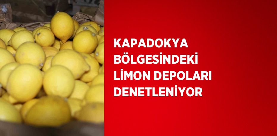 KAPADOKYA BÖLGESİNDEKİ LİMON DEPOLARI DENETLENİYOR