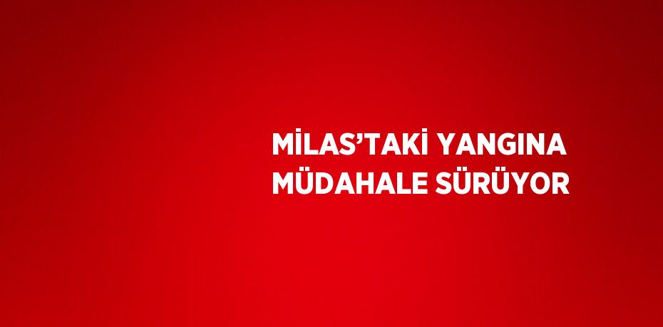 MİLAS’TAKİ YANGINA MÜDAHALE SÜRÜYOR
