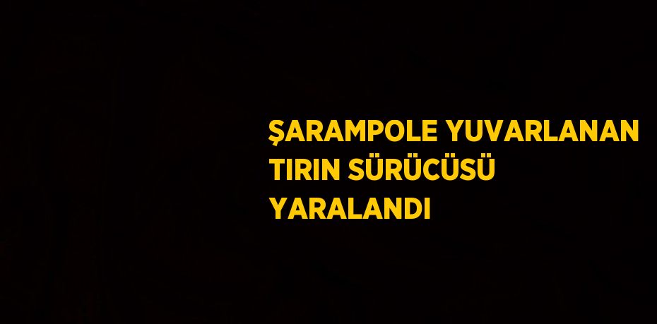 ŞARAMPOLE YUVARLANAN TIRIN SÜRÜCÜSÜ YARALANDI
