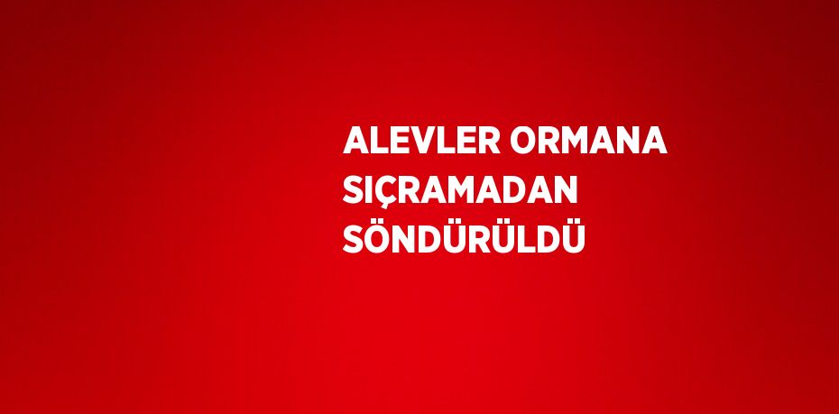 ALEVLER ORMANA SIÇRAMADAN SÖNDÜRÜLDÜ