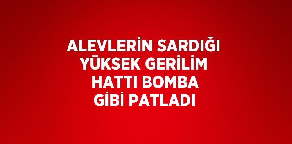 ALEVLERİN SARDIĞI YÜKSEK GERİLİM HATTI BOMBA GİBİ PATLADI