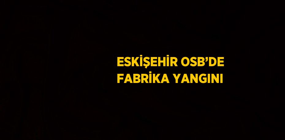 ESKİŞEHİR OSB’DE FABRİKA YANGINI